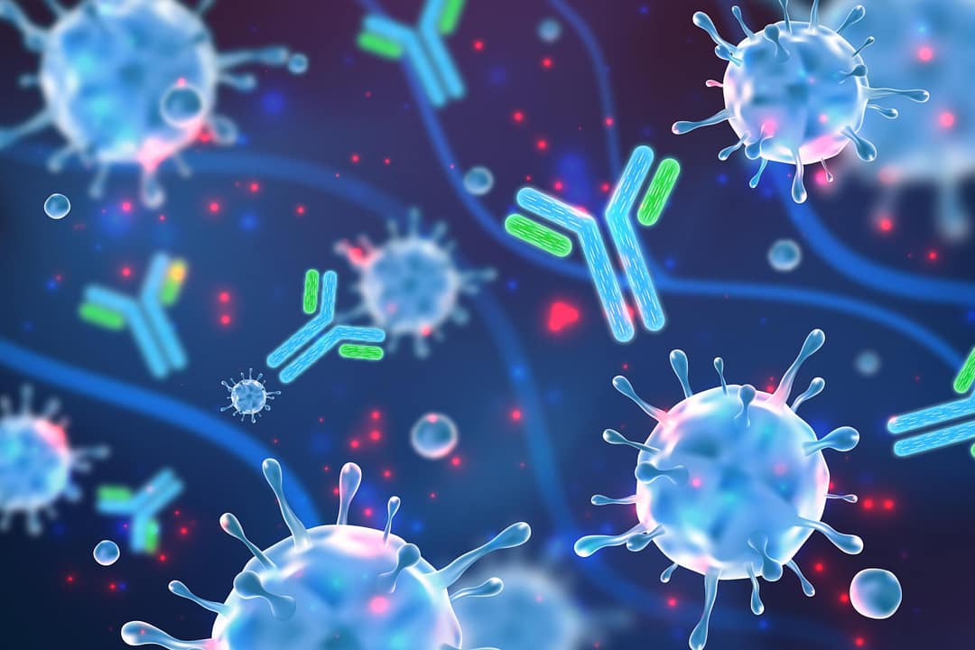Read more about the article COOMBS Test