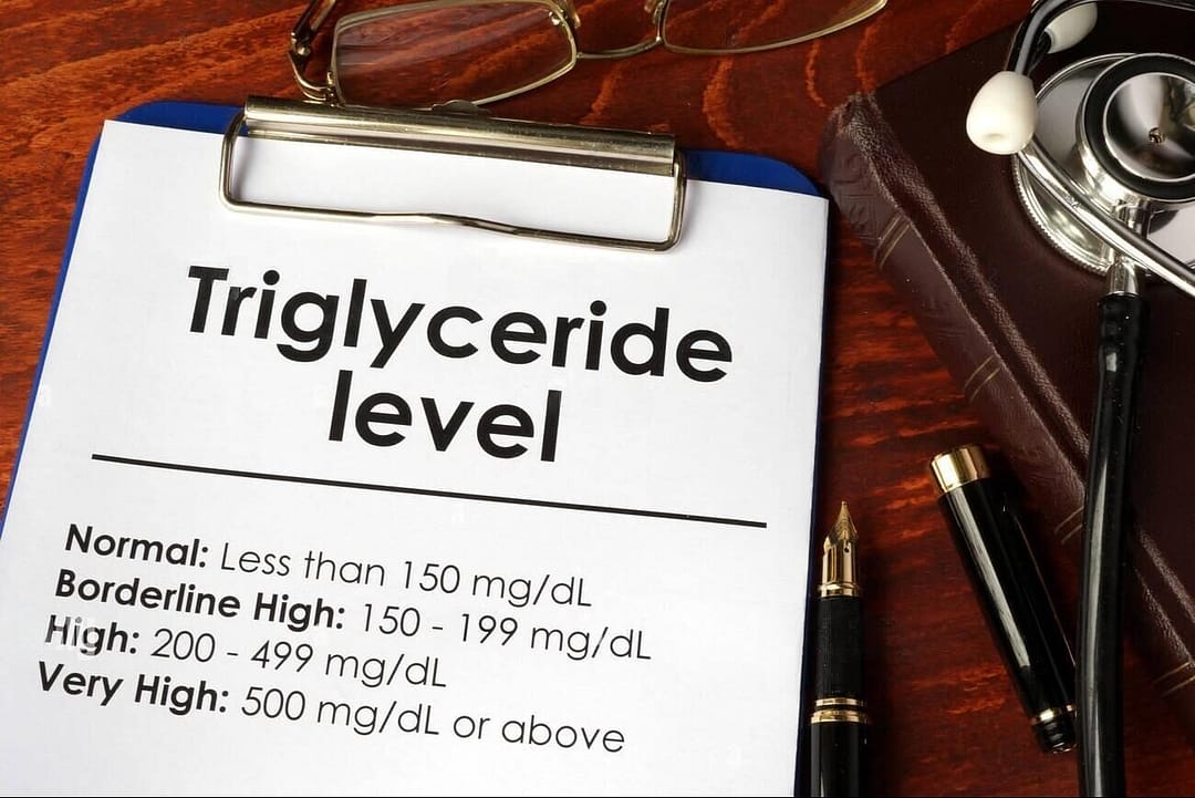 Read more about the article Triglyceride