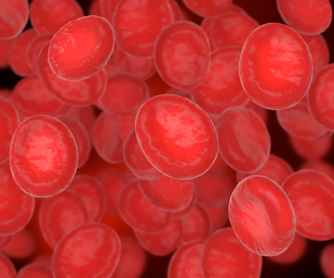 Read more about the article Erythrocyte Sedimentation Rate (ESR)